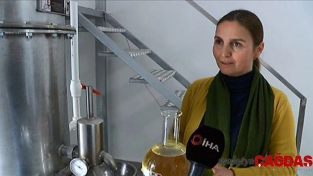 800 liralık lavanta çiçeğinden 20 bin liralık yağ elde ediliyor