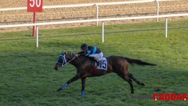 81. Cumhurbaşkanlığı Koşusu'nu 'Long Runner' kazandı