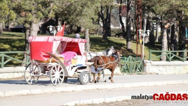 Abant Tabiat Parkı'na gelen tatilcilerde ruam hastalığı endişesi