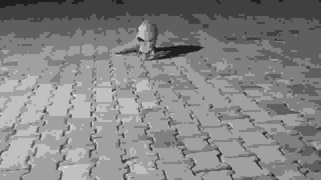 Aç tilki korucu kulübesine geldi, karnını doyurup gitti