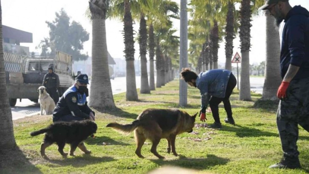 Adana'da sokak hayvanları unutulmadı