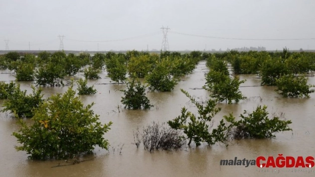 Adana'da tarım arazileri sular altında kaldı