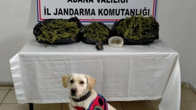 Adana'da uyuşturucu operasyonu: 1 gözaltı