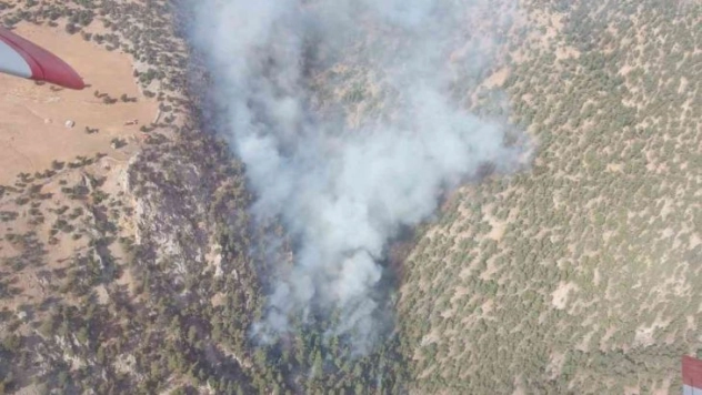 Adana'daki orman yangınına müdahale sürüyor