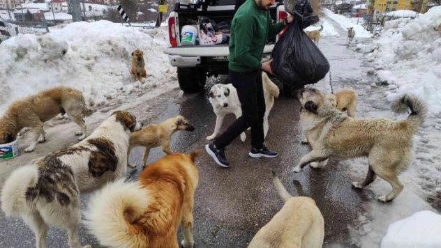 Adanalı kebapçı sokak hayvanlarını unutmadı