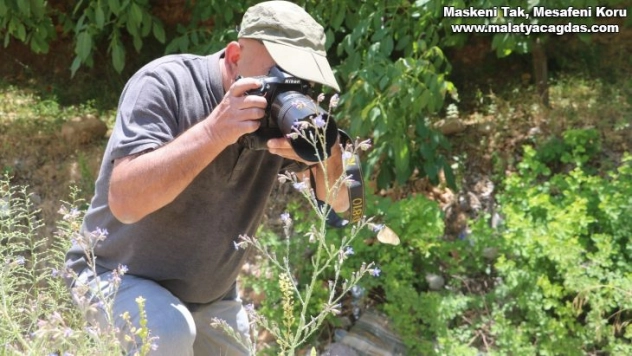 Adım adım gezdiği doğada 150 tür kelebeği fotoğraflamayı başardı