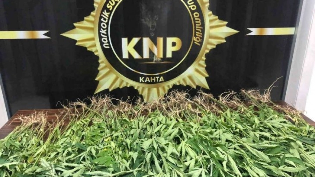 Adıyaman'da 167 kök kenevir ele geçirildi