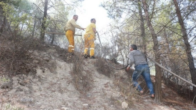 Adıyaman'da, korkutan orman yangını