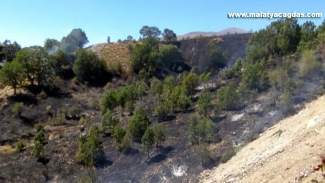Adıyaman'da ormanlık alanda korkutan yangın