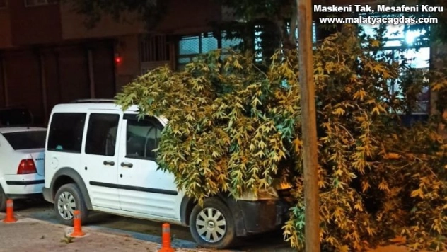 Ağaç dalı park halinki aracın üzerine düştü