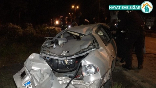 Ağaca çarpan sürücü ağır yaralandı