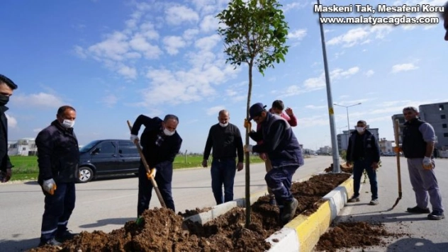 Ağaçlandırma çalışması devam ediyor