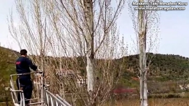 Ağaçta mahsur kalan kediyi itfaiye kurtardı