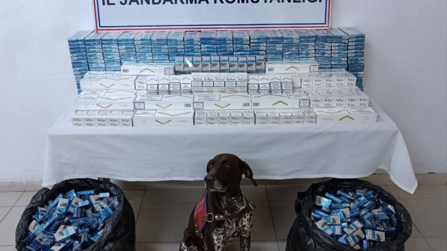 Ağrı'da kaçakçılık operasyonunda 3 tır şoförü gözaltına alındı