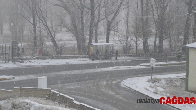 Ağrı'da kar yağışı