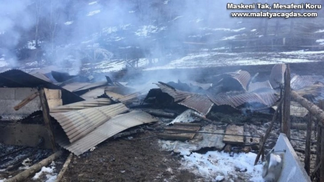 Ahırda çıkan yangında 18 büyükbaş hayvan telef oldu