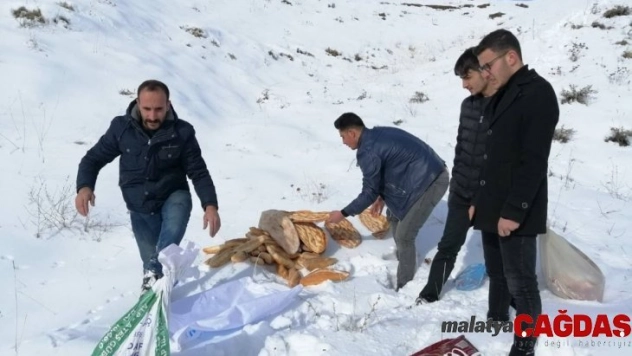 Ahlat'ta yaban hayvanları için doğaya yem bırakıldı