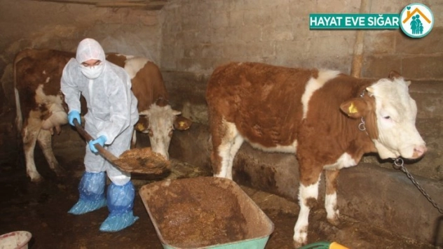 Aile karantinaya alındı, hayvanlarına Vefa ekibi bakmaya başladı