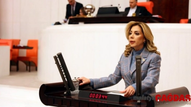 AK Partili Gökçan, 'Milas'a doğalgaz verilmesi için çalışmalarımız devam ediyor'