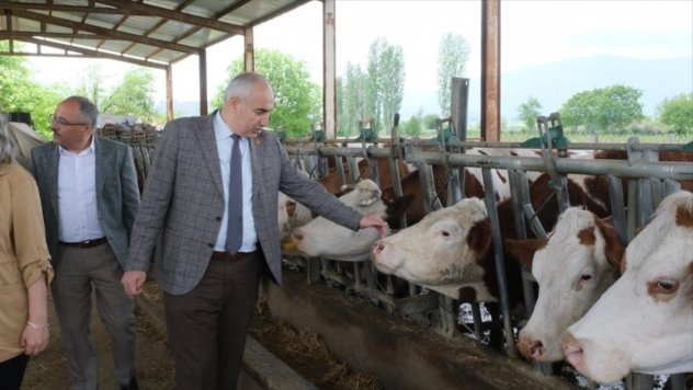 Akar, Doğanşehir'de incelemelerde bulundu