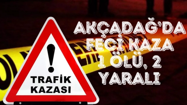 Akçadağ'da Feci Kaza: 2 Ölü, 2 Yaralı