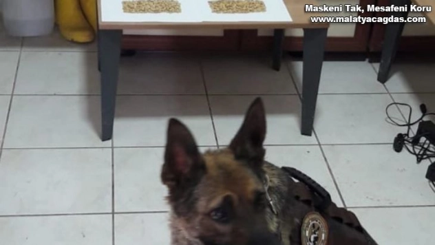 Akçakale'de bin 606 adet uyuşturucu hap ele geçirildi