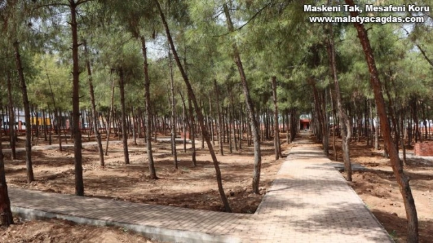 Akçakale mesire alanında çalışmalar sürüyor