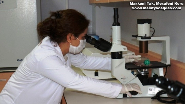 Akciğer kanseri tedavisi için umutlandıran haber