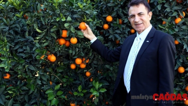 Akdeniz'den ihracat 13.5 milyar dolara ulaştı