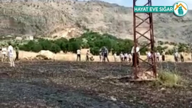 Akıma kapılan karga yangına neden oldu