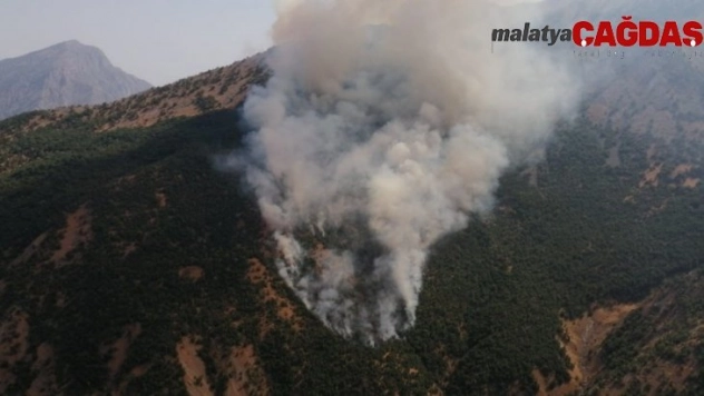 Akkaya köyünde orman yangını çıktı