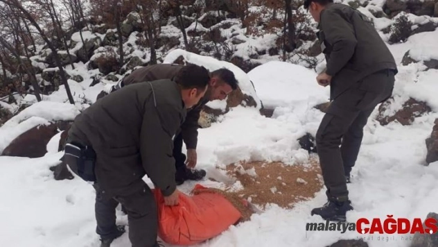 Aksaray'da yaban hayvanları için doğaya yem bırakılıyor