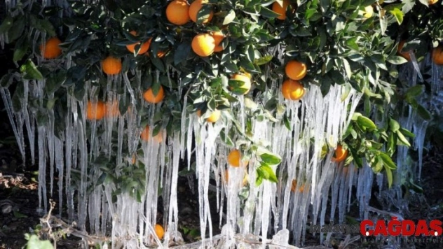 Aliağa'da fırtına ve zirai don uyarısı