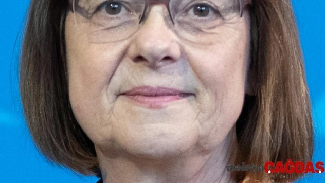 Almanya'dan Afrika domuz gribi virüsüne çitli önlem