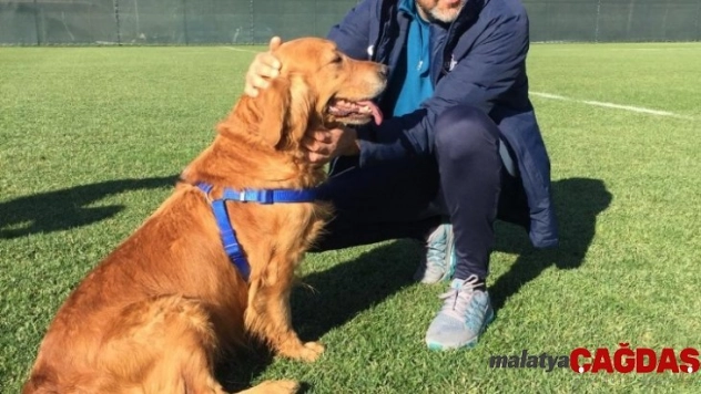 Alper Avcı: 'Daha iyi yerde olabilirdik'