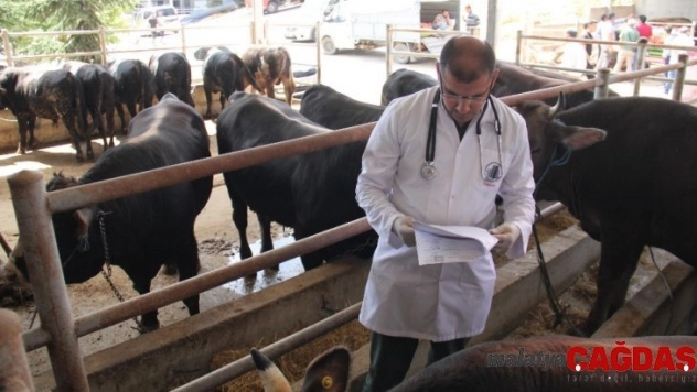 Altındağ'da alınan kurbanlıkların sorgulaması cep telefonlarıyla yapılabilecek