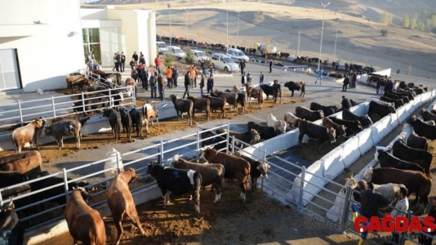 Altındağ'da kurban kesim yerleri belirlendi