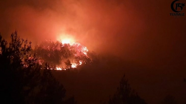 Amanoslar'da orman yangını