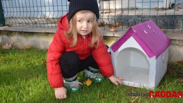 Anaokulu öğrencilerinden kedilere ev