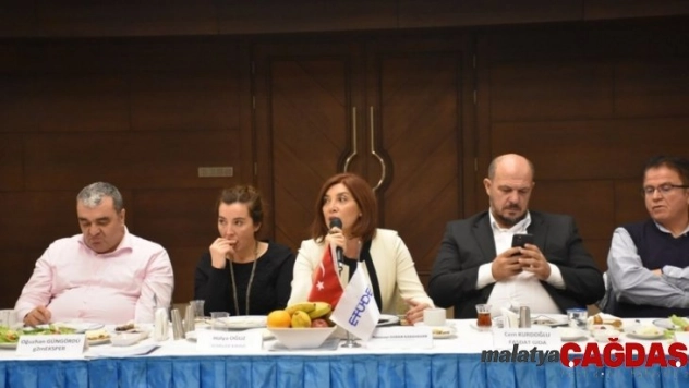 ANFAŞ - ETÜDER iş birliği