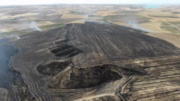 Anız yangını bahçelere sıçradı