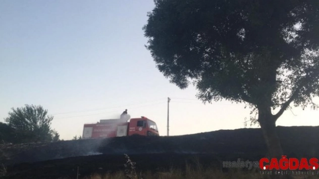 Anız yangını korkuttu