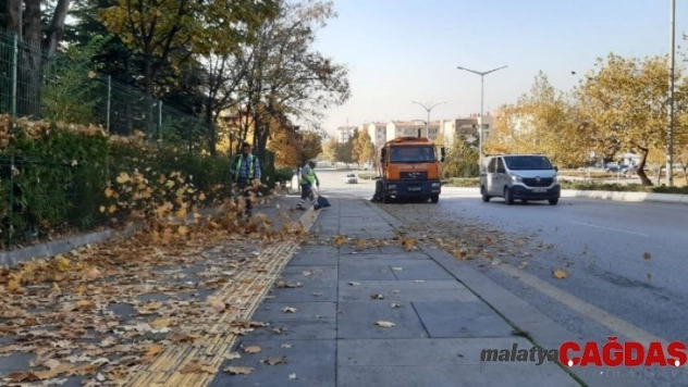 Ankara Büyükşehir Belediyesi ekipleri cadde ve sokakları yapraklardan temizliyor