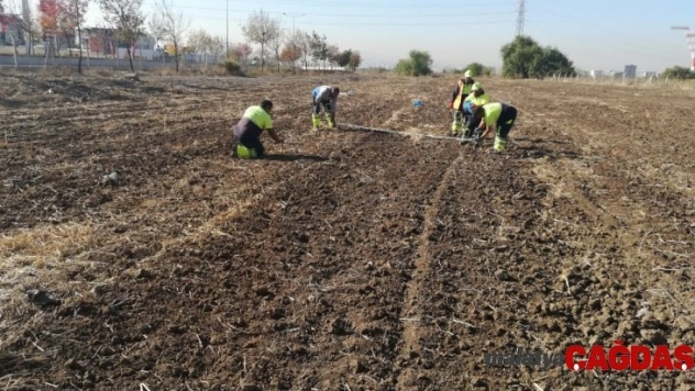 Ankara Büyükşehir Belediyesinden Türkiye'nin ilk kadın muhtarı anısına hatıra ormanı