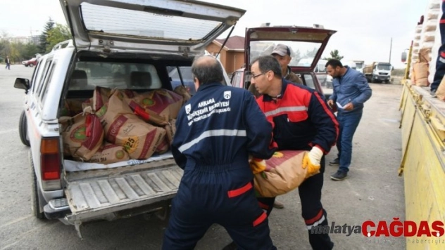 Ankara Büyükşehir çiftçilere yem bitkisi tohumu dağıtımına başladı