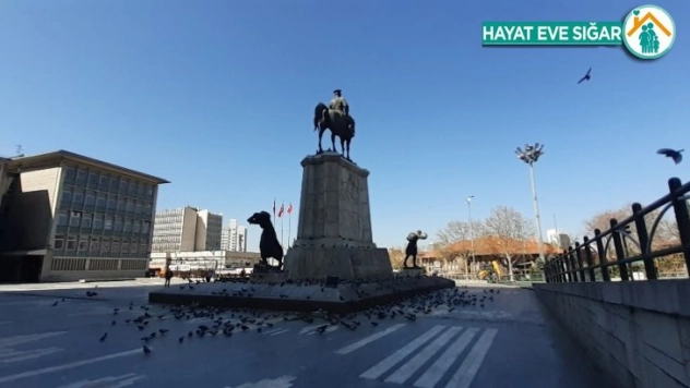 Ankara Ulus Meydanı'nda öksüz kalan güvercinler unutulmadı