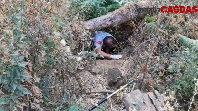 Araba çarpan köpeği böyle kurtardılar