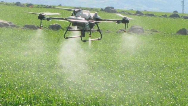 Araban'da sarımsak tarlaları dronla ilaçlandı