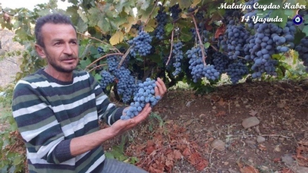 Meşhur köhnü üzümü artık Esenlik Marketler'de