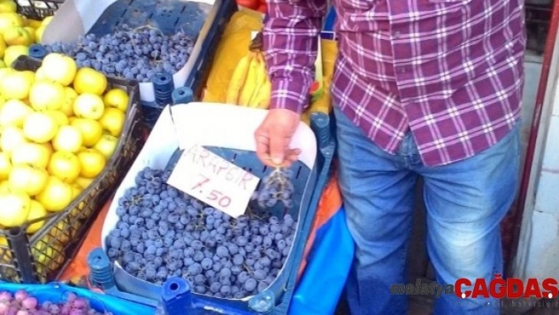 Arapgir üzümünün fiyatı cep yakıyor
